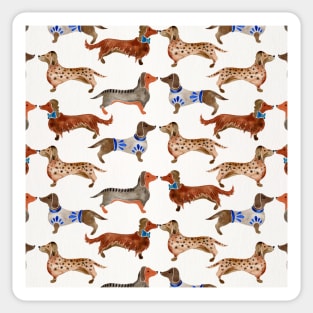 Dachshunds Sticker